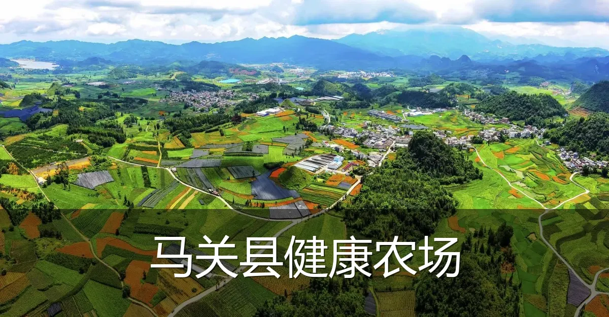 马关县健康农场