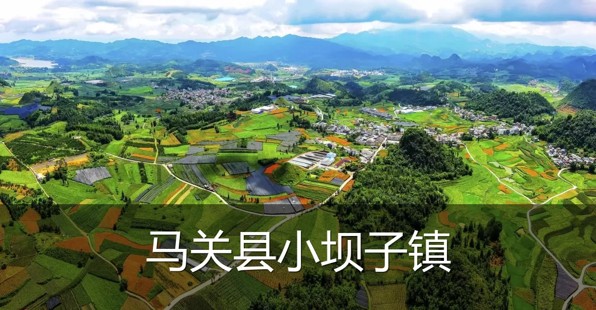 马关县小坝子镇